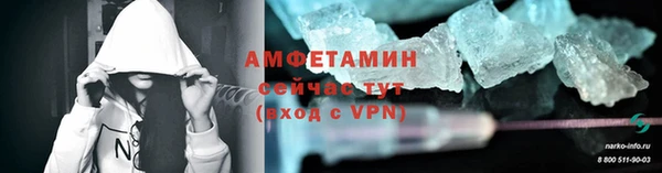 гидра Аркадак