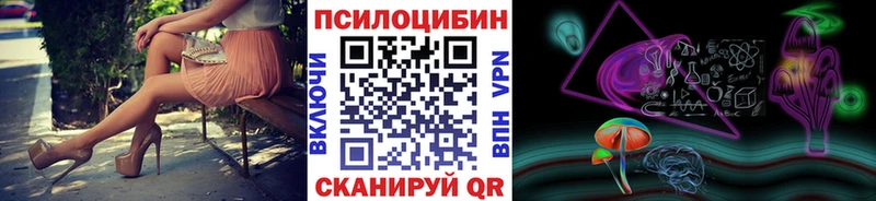 где можно купить наркотик Барыш Галлюциногенные грибы Cubensis